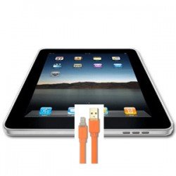 iPad 2/iPad 3 Charging Problem Repair