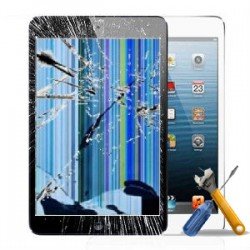 iPad Mini 2 Broken LCD/Display Replacement Repair