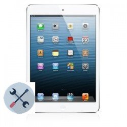 Apple iPad Mini/Mini 2 Repairs