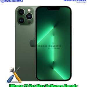 iPhone 13 Pro Max