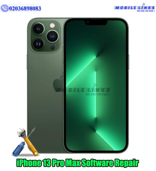 iPhone 13 Pro Max
